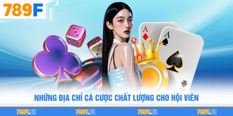 Những địa chỉ cá cược chất lượng cho hội viên
