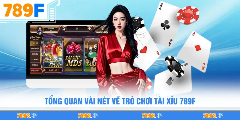 Tổng quan vài nét về trò chơi tài xỉu 789F 