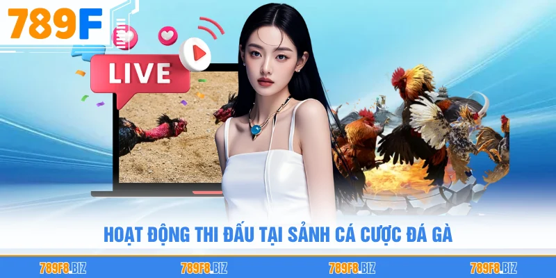 Hoạt động thi đấu tại sảnh cá cược đá gà